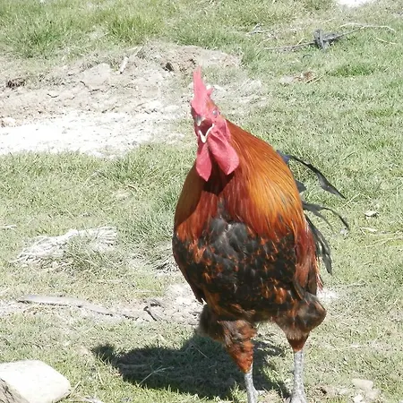 Hétvégi ház El Dolmen *