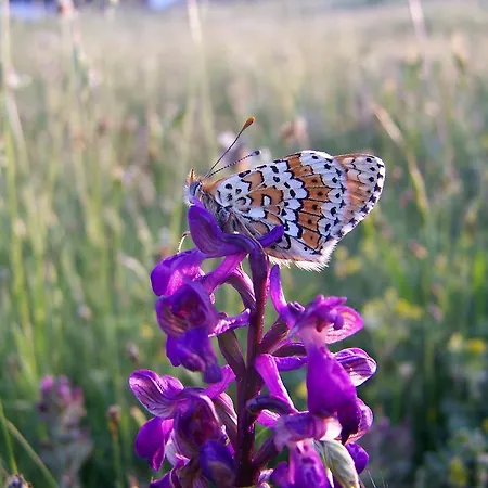Hétvégi ház El Dolmen Bernúy-Salinero